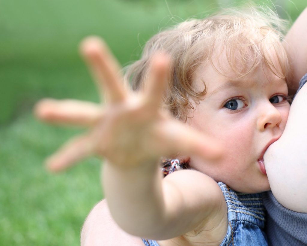 Da Importância do Aleitamento Materno (Parte&nbsp;2)